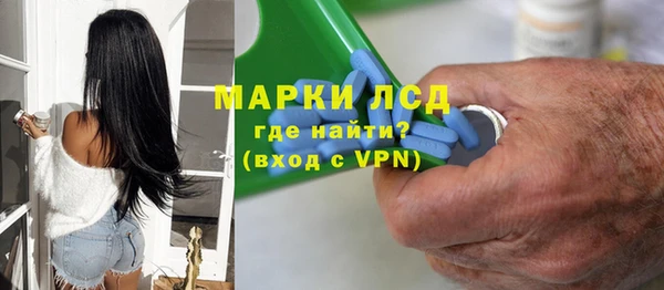соль ск Инсар