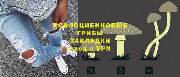 твердый Иннополис