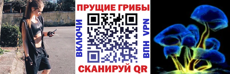Псилоцибиновые грибы Magic Shrooms  купить   Заинск 